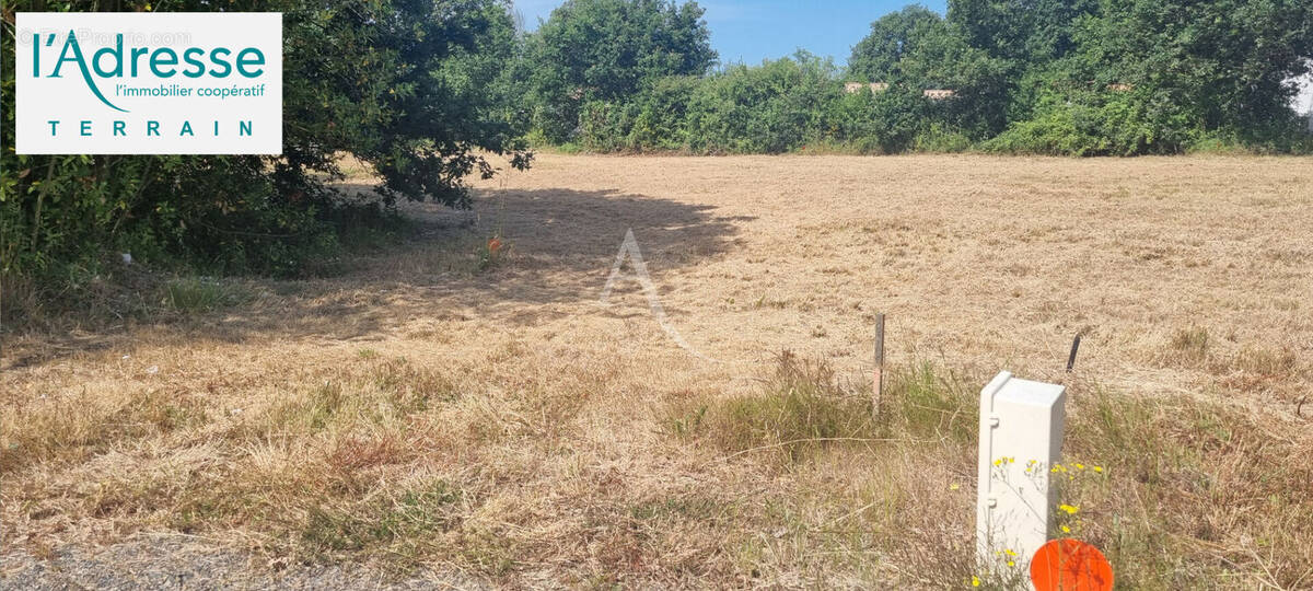 Terrain à COMMEQUIERS