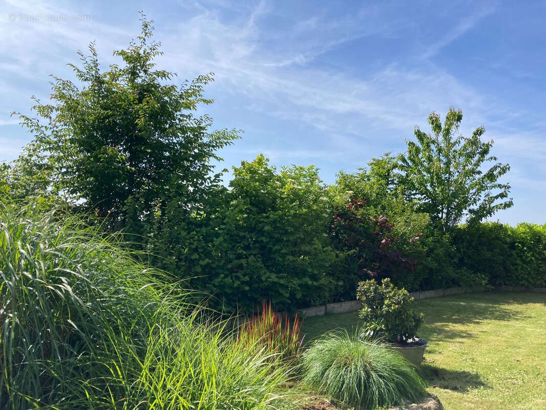 Maison à BILLANCELLES