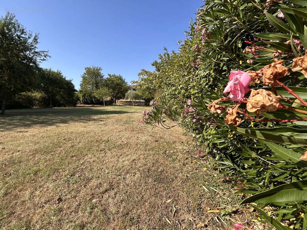 Maison de village T8, garage, grange, piscine sur 3456m² - photo 22