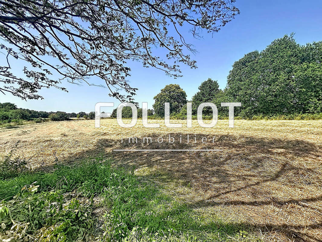 A VENDRE Campagne VER Pavillon 9500m² de terrain - photo 8