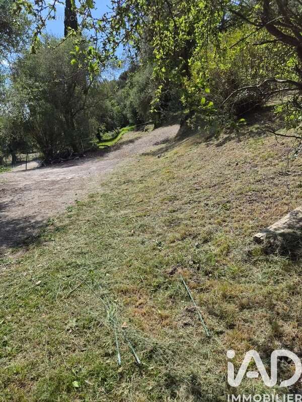 Photo 5 - Terrain à GORBIO