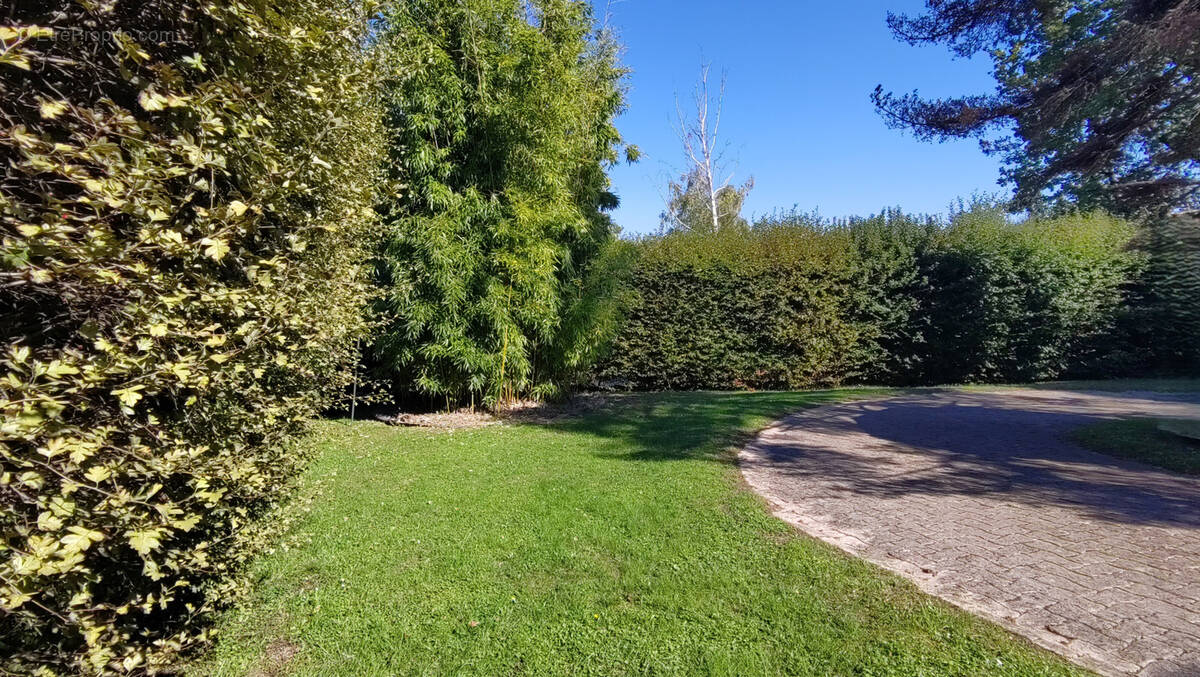 Terrain à CHAZAY-D&#039;AZERGUES