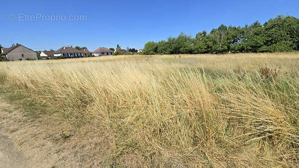 10 mn de beaugency - photo 3