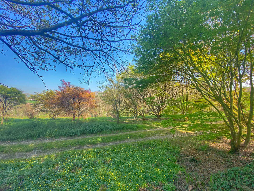 Maison à SAINT-JEAN-PIED-DE-PORT