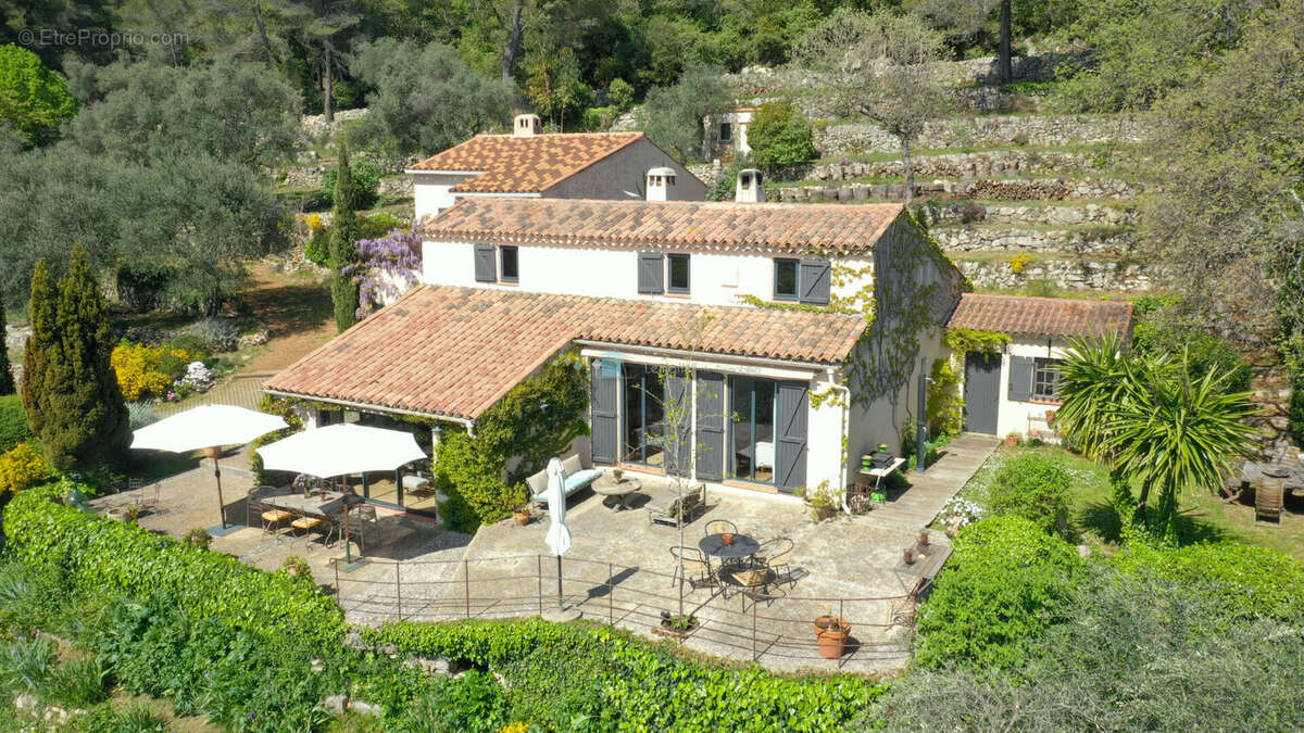 Villa Grasse 10 pièces 240 m² en 2 habitations sur oliveraie de 5147 m²  vue mer - photo 3