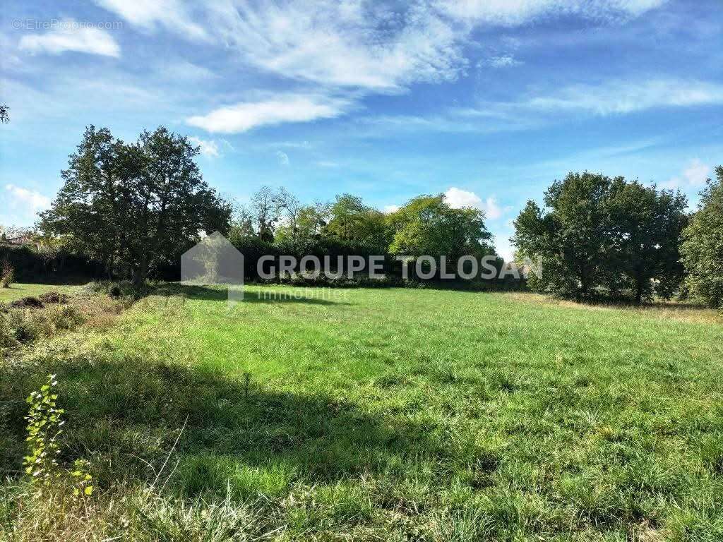 Terrain à FORGUES