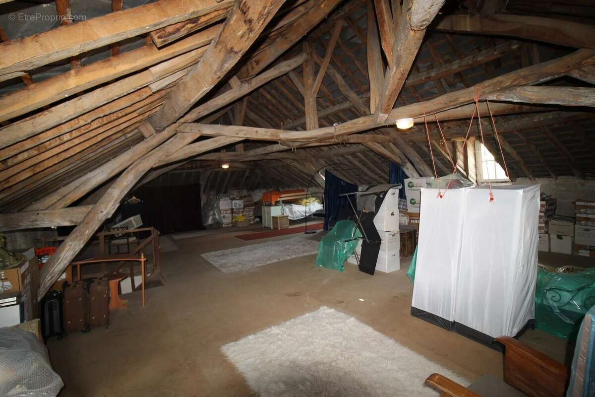 Domaine d'exception avec de grands potentiels à vendre en Bourgogne - photo 31