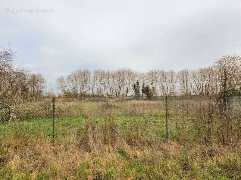 Terrain à PAIZAY-LE-CHAPT
