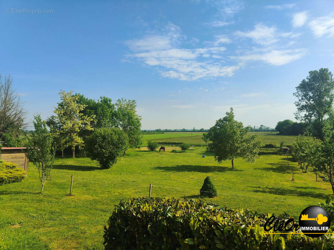 Maison 138 m² à Pierre-De-Bresse  - photo 5