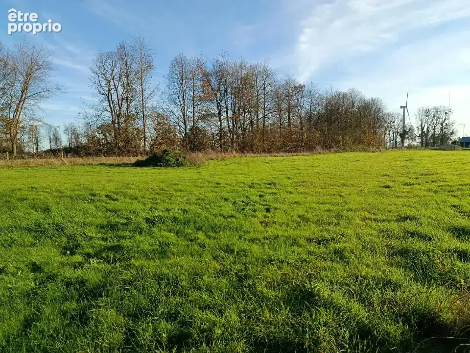 Terrain 1 200 m² à vendre à Smermesnil (76660) - photo 2