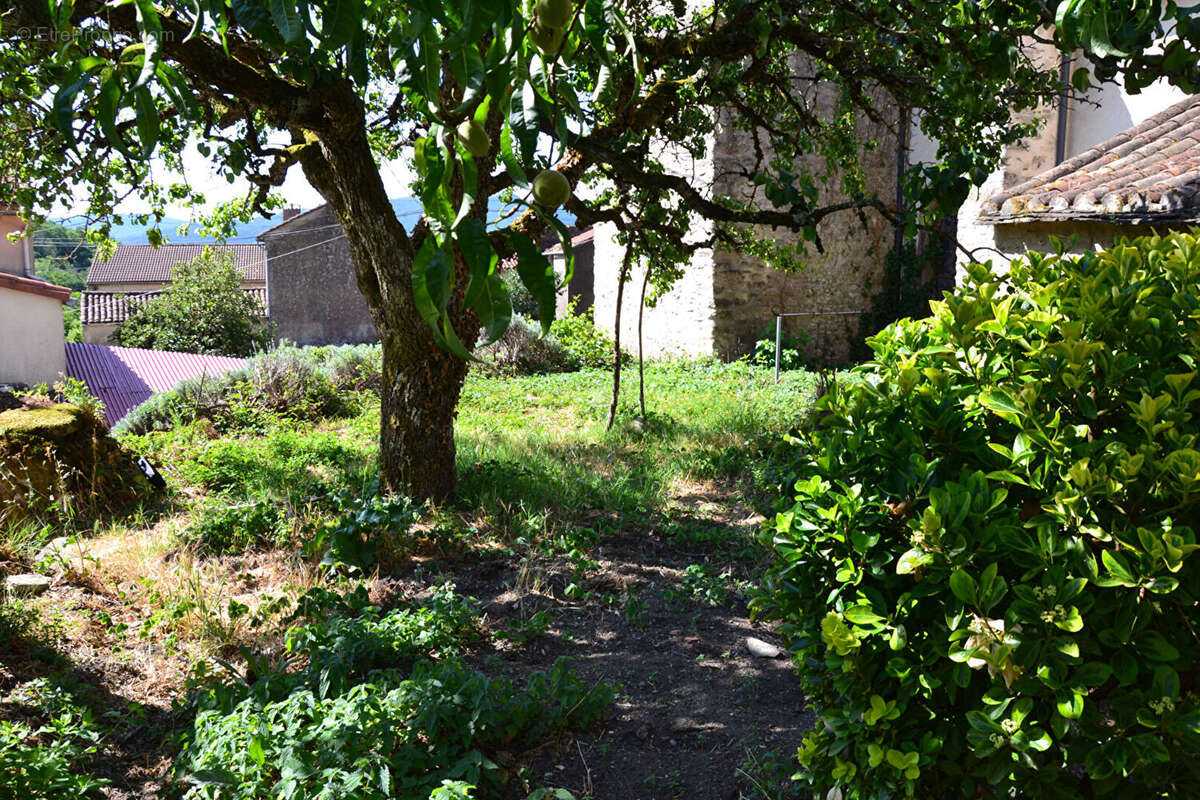 Courniou dans hameau Maison  ancienne avec joli jardin - photo 5