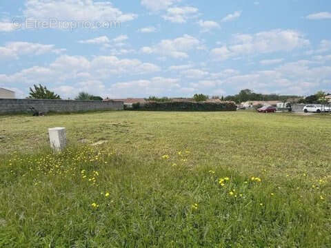 Terrain à LE BOURDET