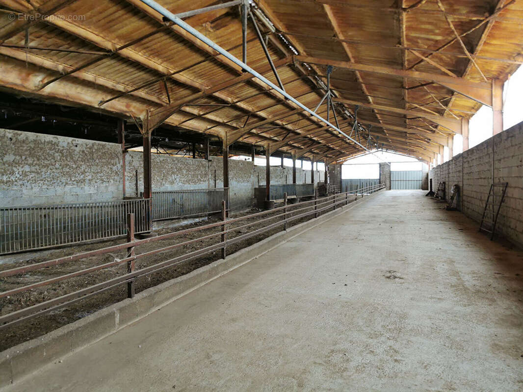 Propriété agricole à proximité de Saint Antonin Noble Val - photo 11
