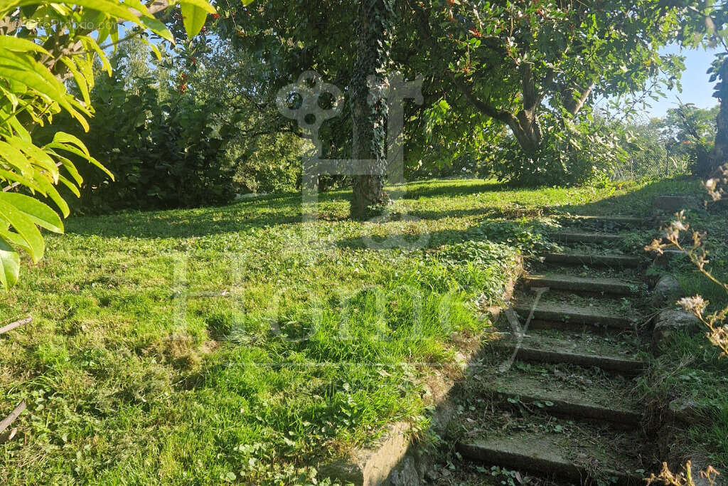Terrain à SCIEZ