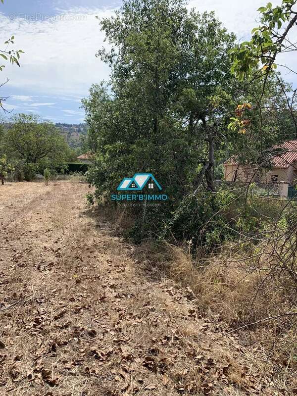 Terrain à VIEILLE-BRIOUDE