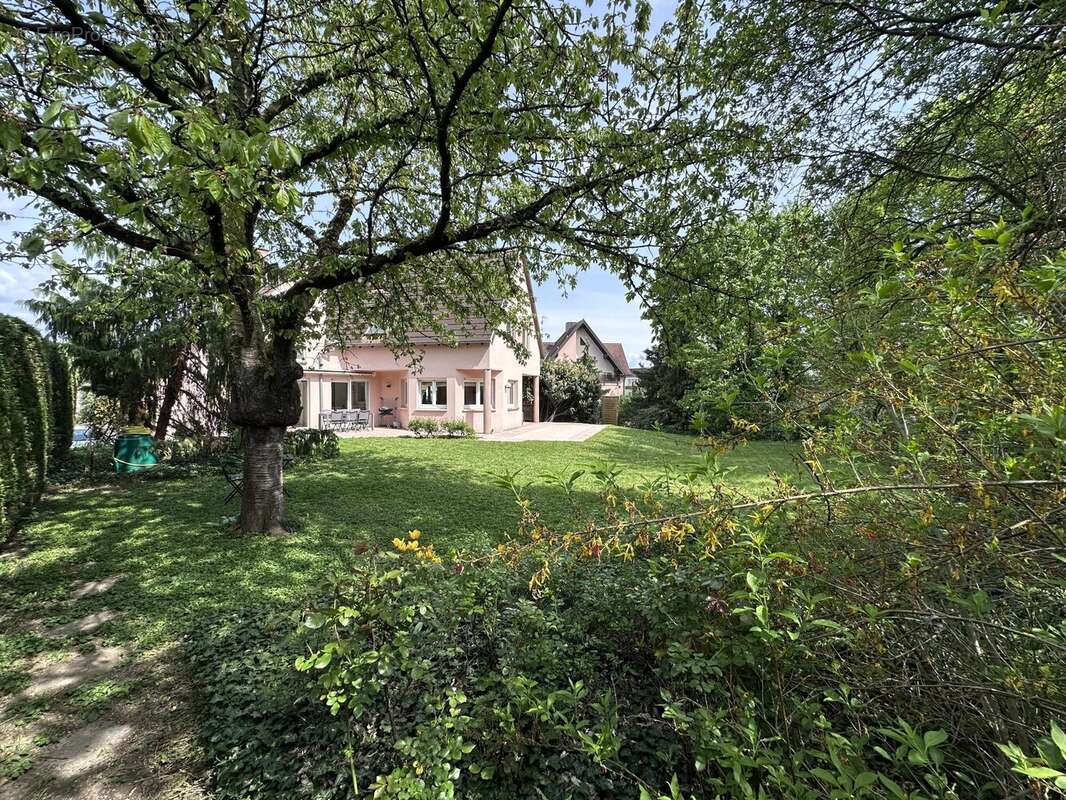 Jardin - Maison à HOENHEIM