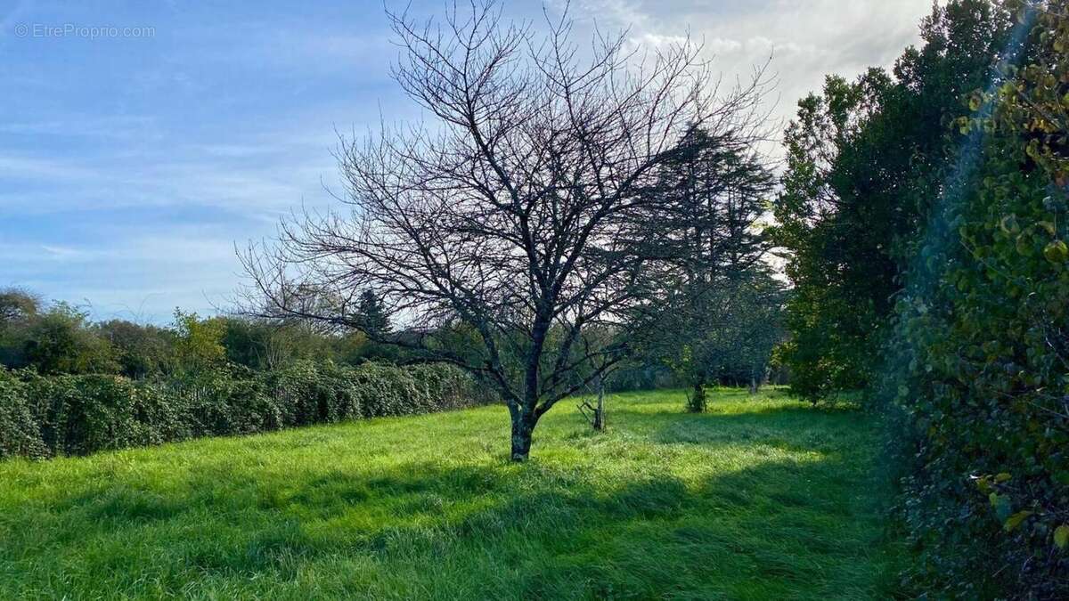 Photo 3 - Maison à SAINT-GOURSON