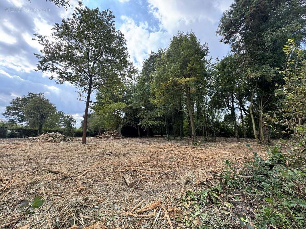 Maison à CAPPELLE-EN-PEVELE