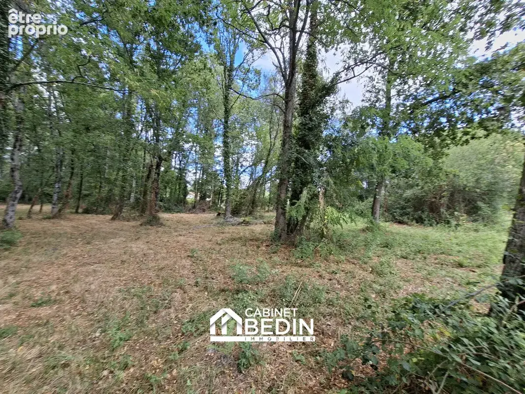 Terrain 1 300 m² à vendre à Leogeats (33210) - photo 2