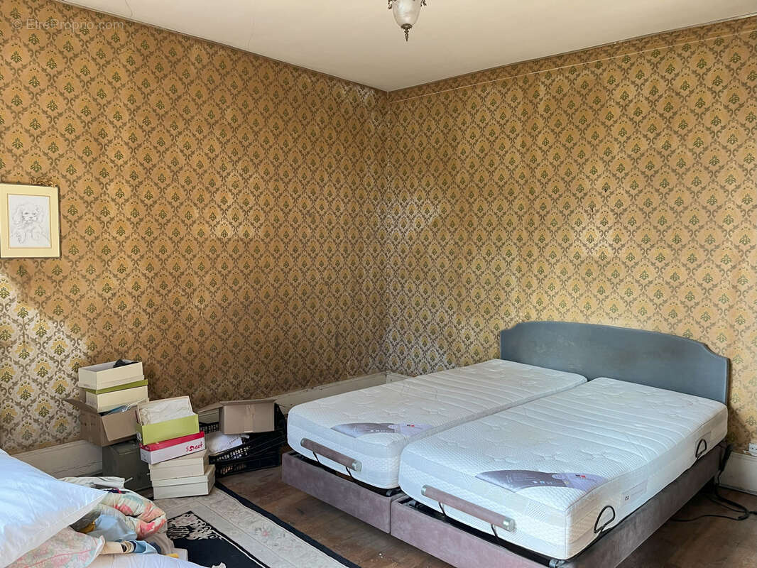 maison de caractère au coeur de La Ferté Saint Aubin - photo 7