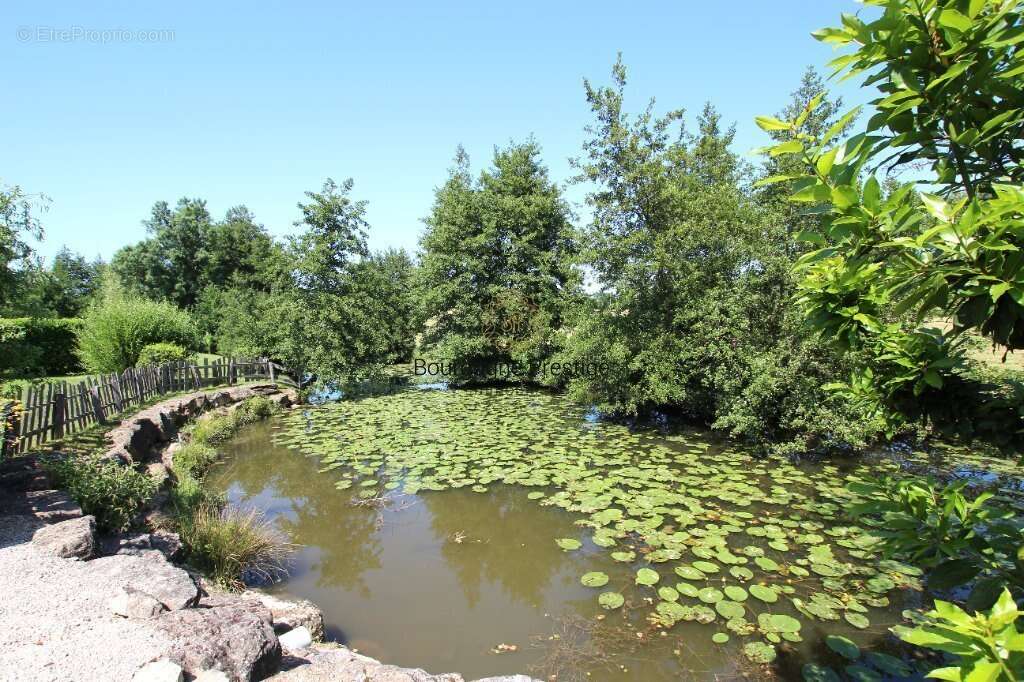 Maison à CHALON-SUR-SAONE
