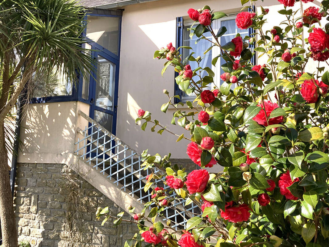 Maison à DINEAULT