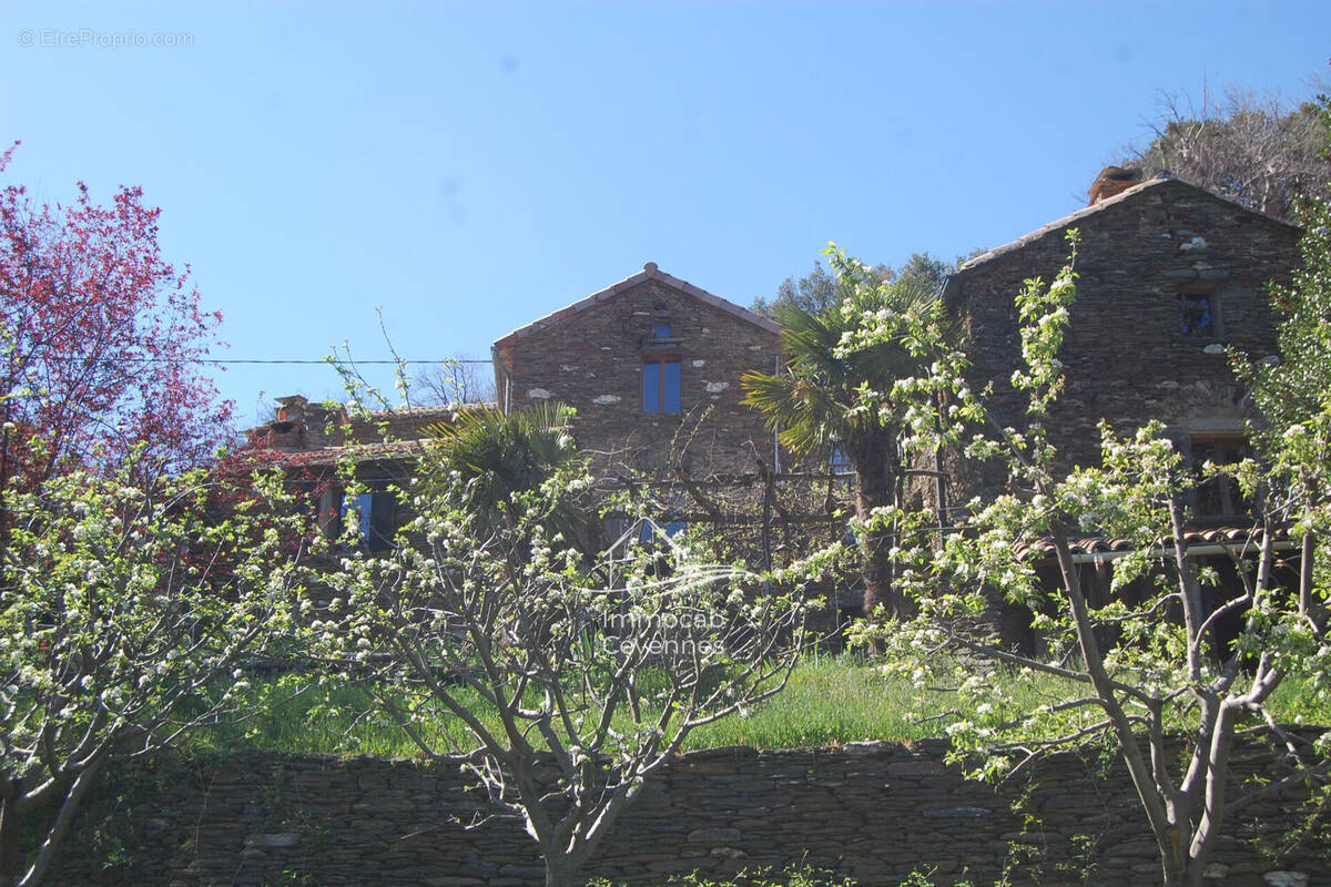 Maison à LE COLLET-DE-DEZE