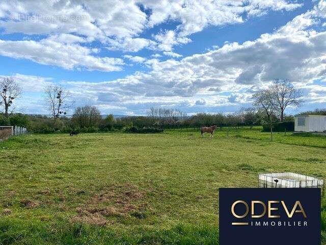 Maison à CONDE-SUR-VIRE