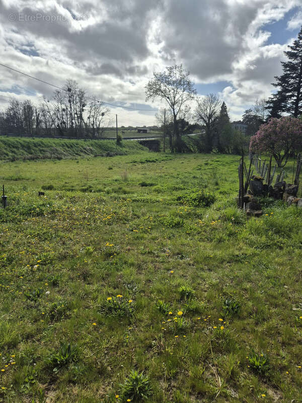 Maison en pierre 141 m2, 4 chambres, dépendances et jardin clos ! - photo 3