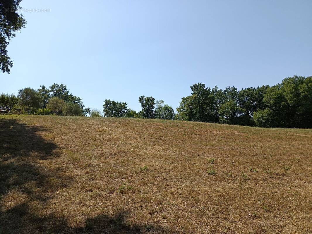 Terrain à SAIX