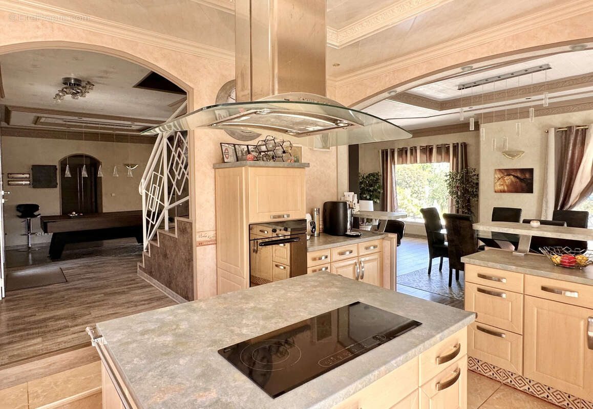 Grezieu maison familiale d'exception volumes remarquables au grand calme - photo 4