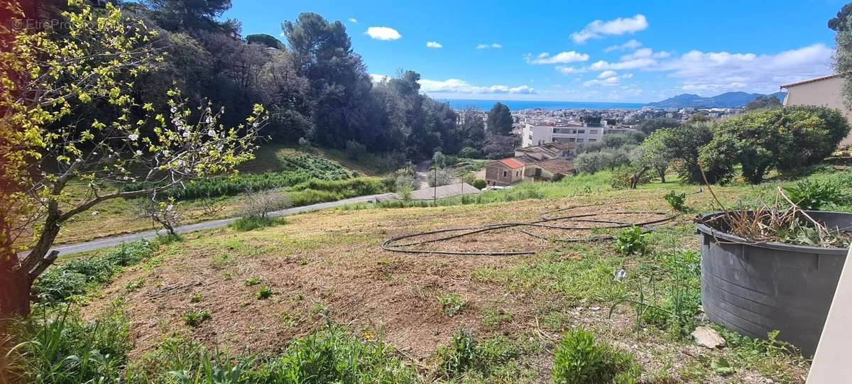 Terrain à LE CANNET