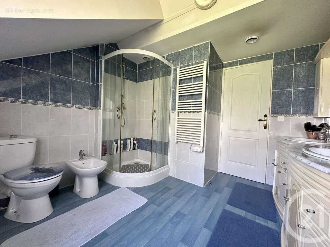 Maison 116 m² à Saint-Pellerin  - photo 11