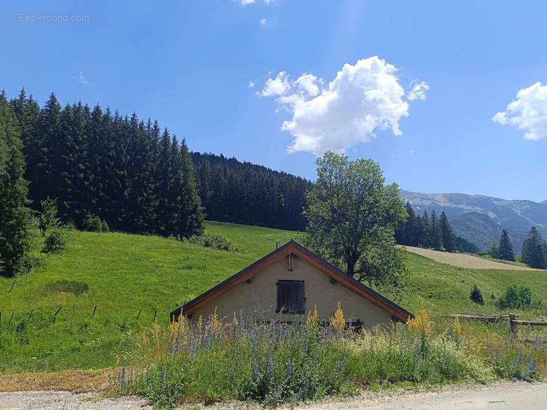 Corrençon en Vercors : Bel appartement T3 duplex ,avec jardin et cave . - photo 40