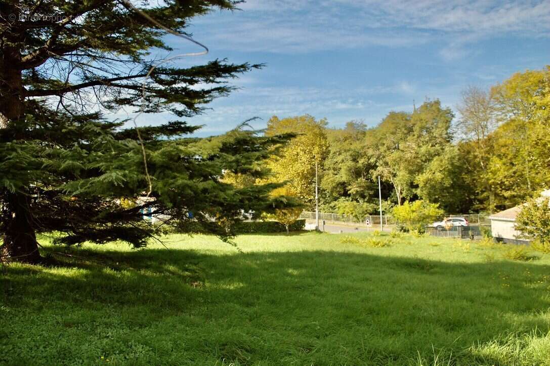 Terrain à MIRAMBEAU