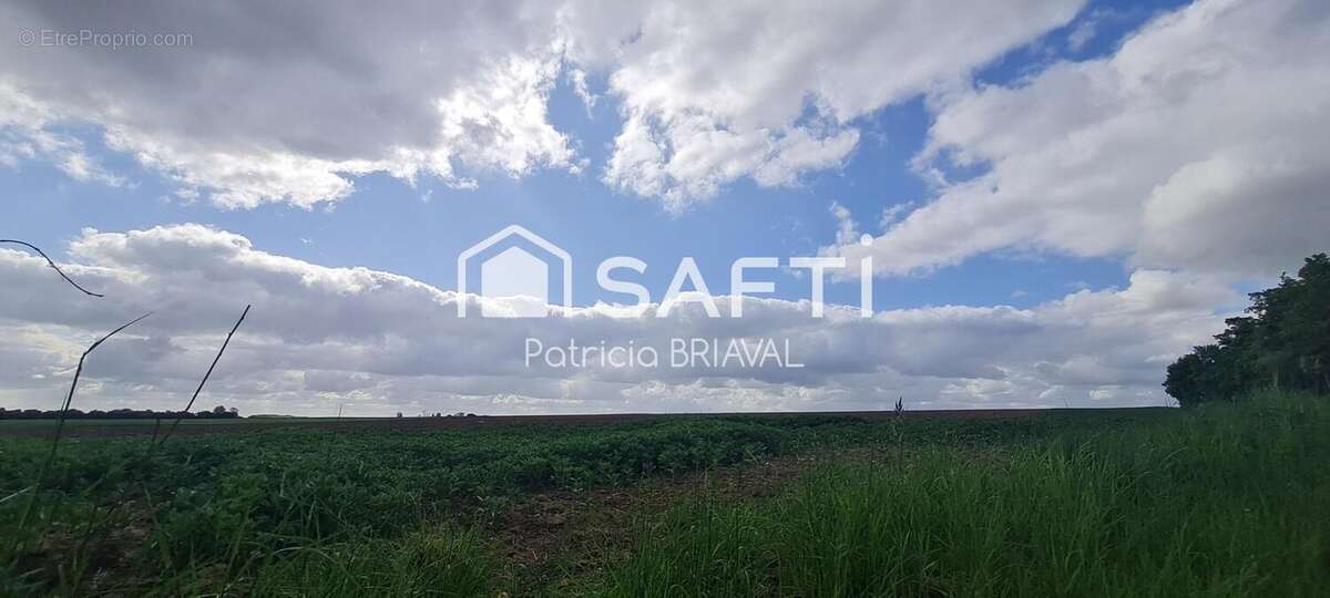 Photo 4 - Terrain à HERMAVILLE