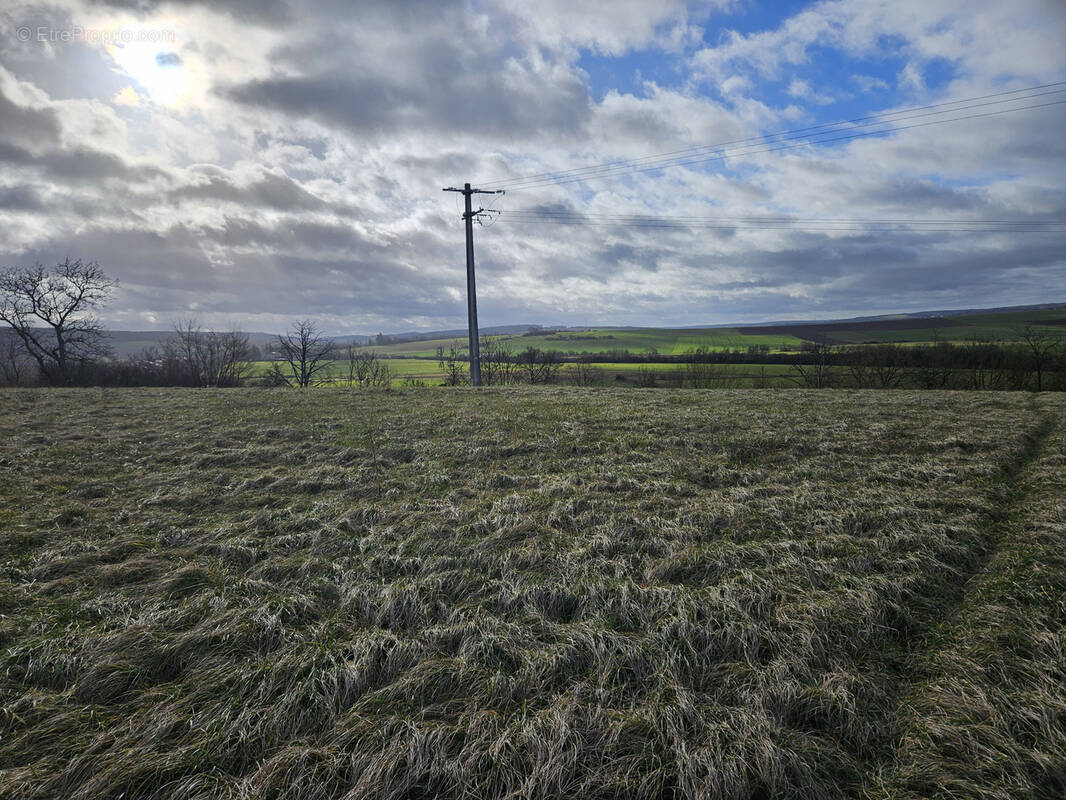 Terrain à SAINT-GERMAIN-SUR-MEUSE