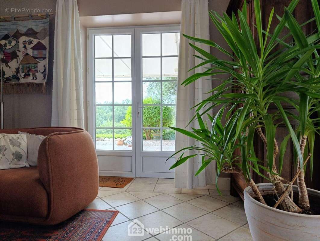 Maison 250 m² à Hagetmau  - photo 2