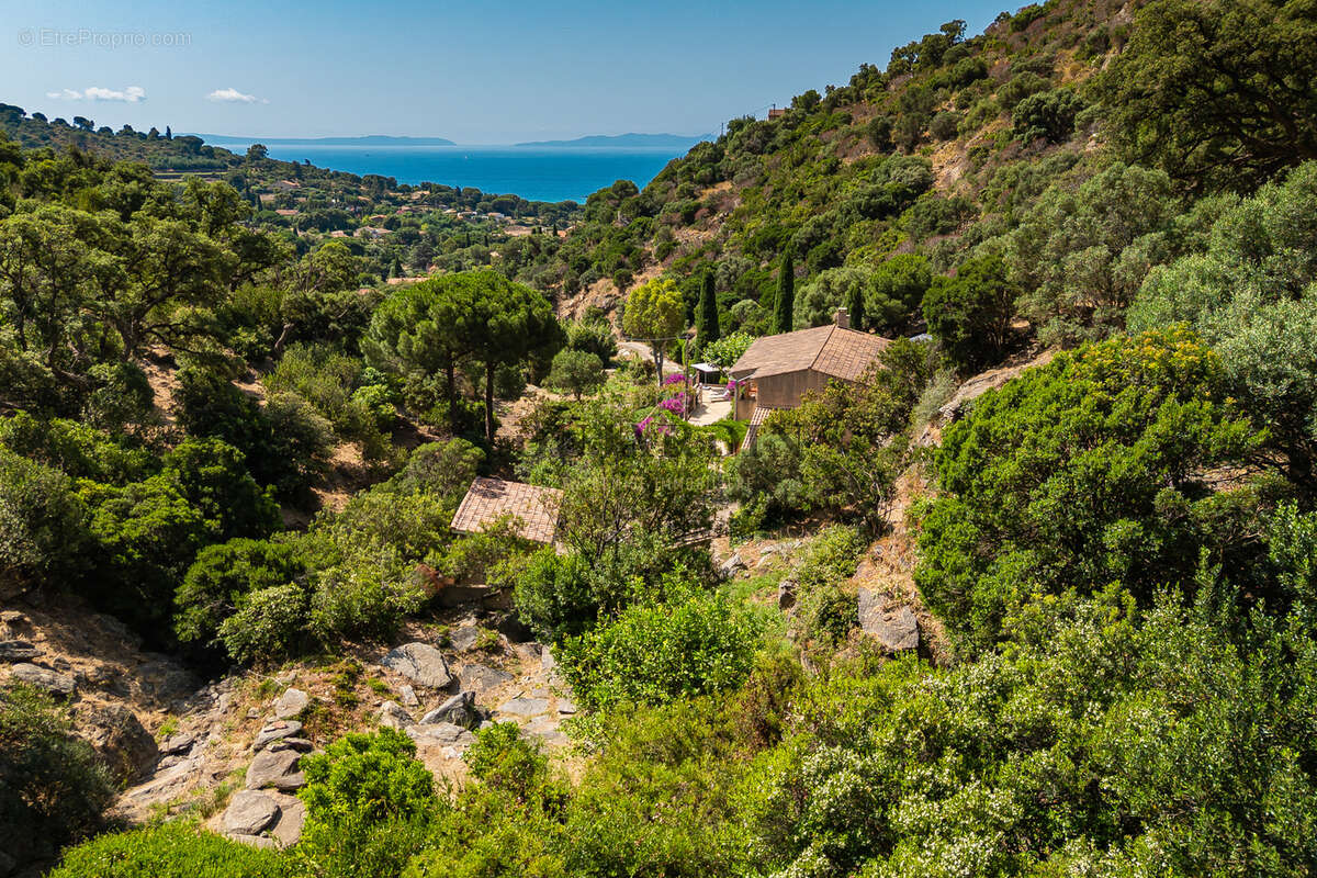 Maison à LE LAVANDOU