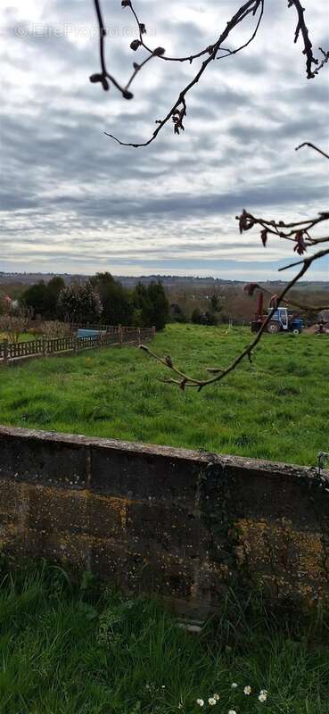 Terrain à ANCENIS
