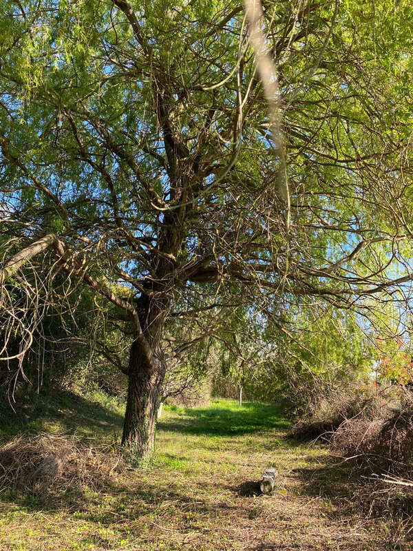 Maison à CASTELNAU-D'ESTRETEFONDS