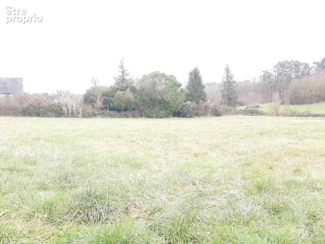 Terrain 5 063 m² à vendre à Neuil (37190) - photo 3