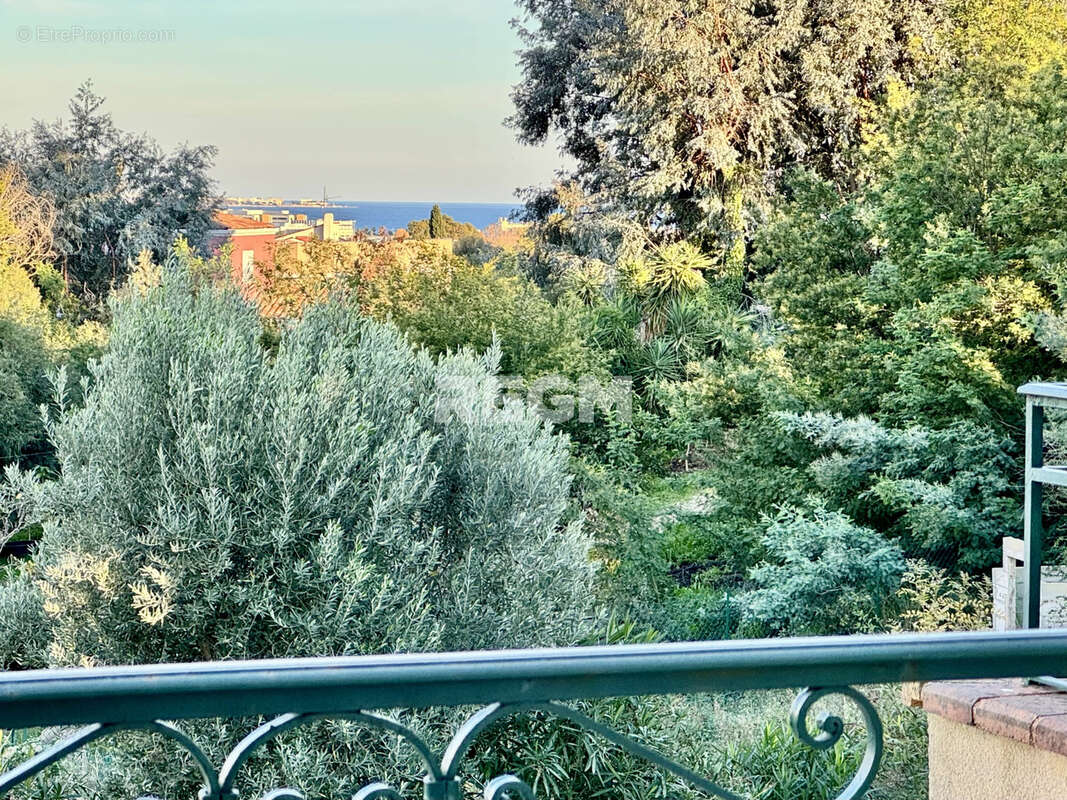 Maison à MANDELIEU-LA-NAPOULE