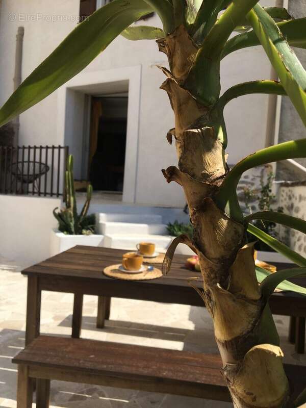 Terrasse végétation - Maison à ARGELES-SUR-MER