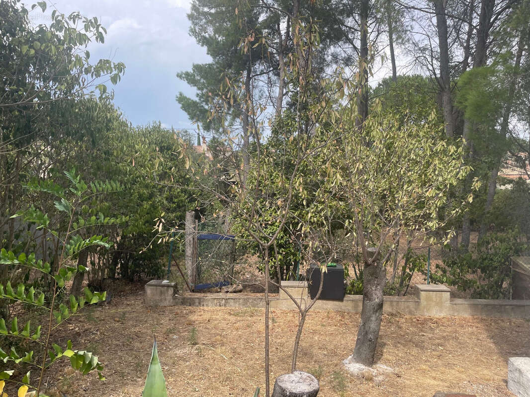 Maison à CASTELNAU-LE-LEZ