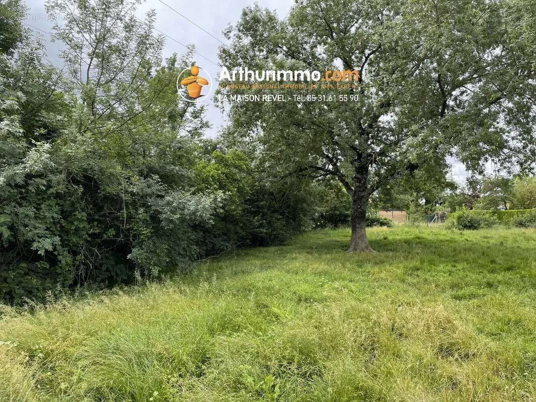 Vente Terrain Revel(31250) 77 000ï¿œ - photo 3