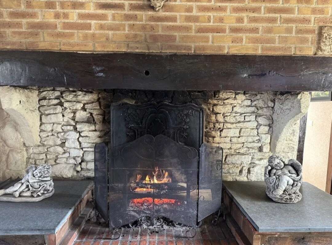 Propriété de charme en pierre avec pigeonnier, piscine et 4 hectares - photo 8