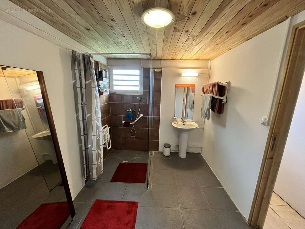Maison 65 m² à La Plaine-Des-Palmistes  - photo 7