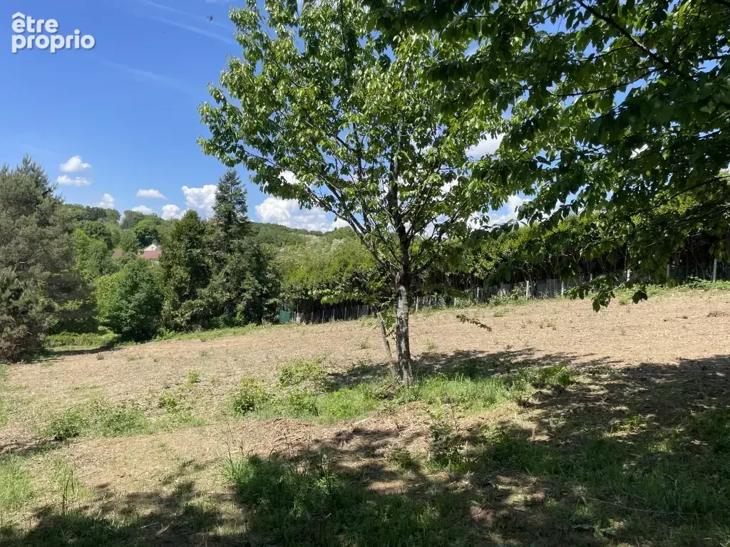 Proche Pompadour, en pérIphérie du village de Saint-Sornin Lavolps - photo 3