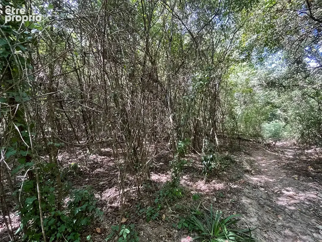 Photo Terrain à Vidauban au prix de 8 000€